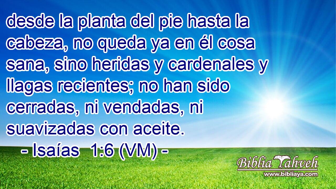  desde la planta del pie hasta la cabeza, no queda ya en él cosa sana, sino heridas y cardenales y llagas recientes; no han sido cerradas, ni vendadas, ni suavizadas con aceite. 
