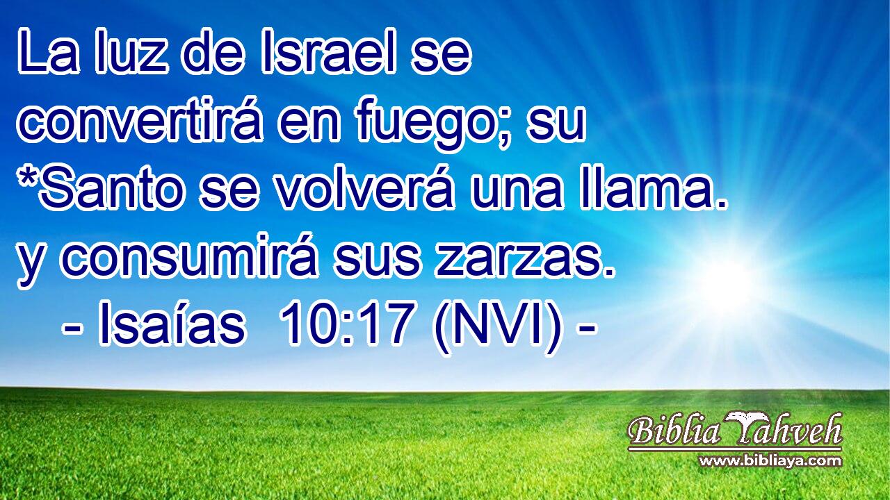  La luz de Israel se convertirá en fuego; su *Santo se volverá una llama. y consumirá sus zarzas. 