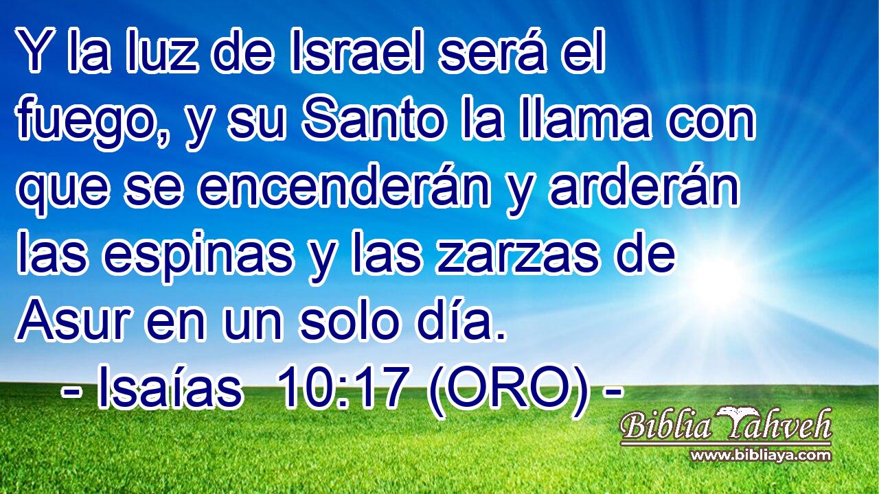  Y la luz de Israel será el fuego, y su Santo la llama con que se encenderán y arderán las espinas y las zarzas de Asur en un solo día. 