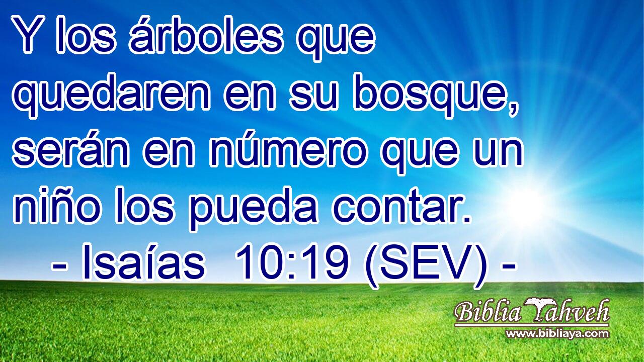 Y los árboles que quedaren en su bosque, serán en número que un niño los pueda contar.