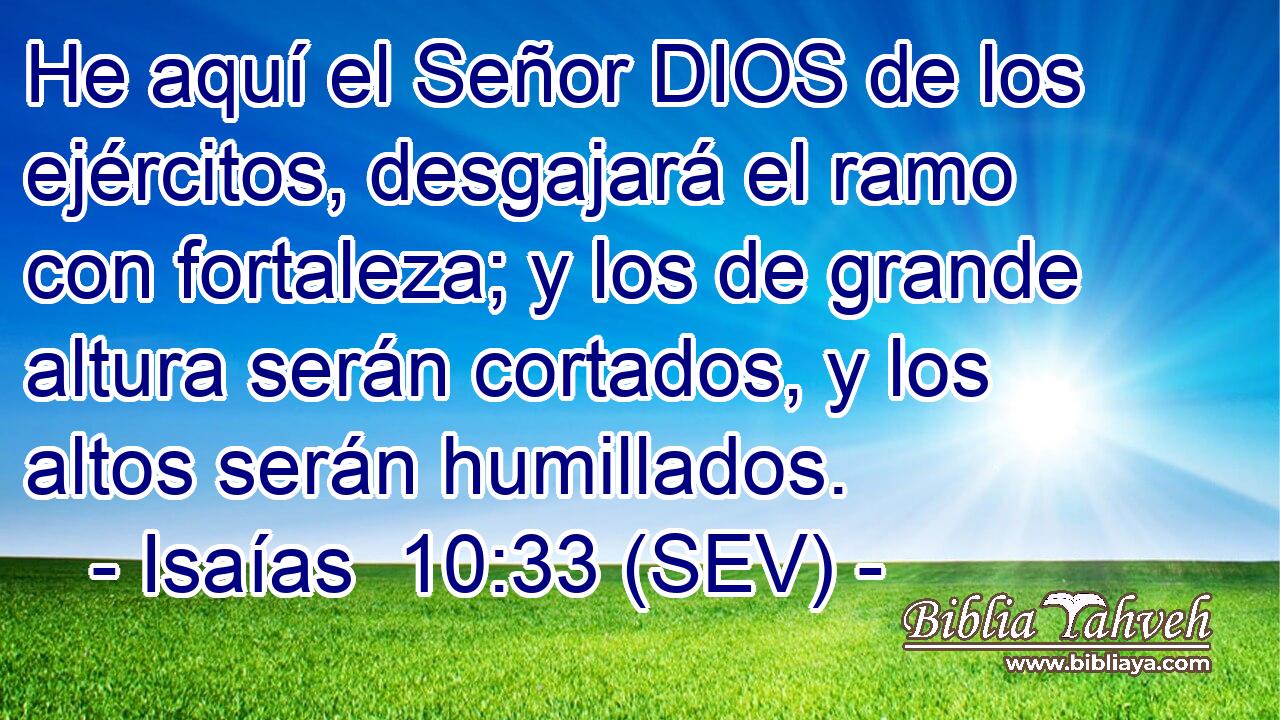 He aquí el Señor DIOS de los ejércitos, desgajará el ramo con fortaleza; y los de grande altura serán cortados, y los altos serán humillados.