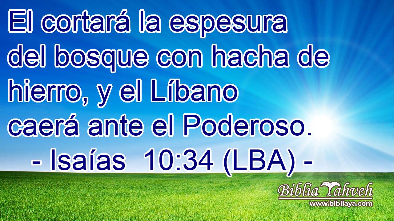 El cortará la espesura del bosque con hacha de hierro, y el Líbano caerá ante el Poderoso.