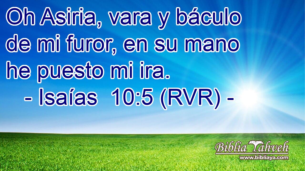 Oh Asiria, vara y báculo de mi furor, en su mano he puesto mi ira.