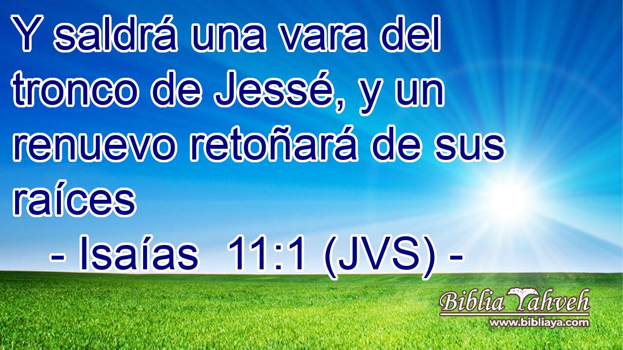 Y saldrá una vara del tronco de Jessé, y un renuevo retoñará de sus raíces