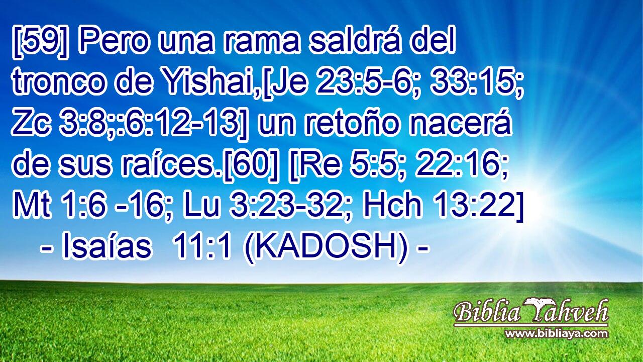  [59] Pero una rama saldrá del tronco de Yishai,[Je 23:5-6; 33:15; Zc 3:8;:6:12-13] un retoño nacerá de sus raíces.[60] [Re 5:5; 22:16; Mt 1:6 -16; Lu 3:23-32; Hch 13:22] 