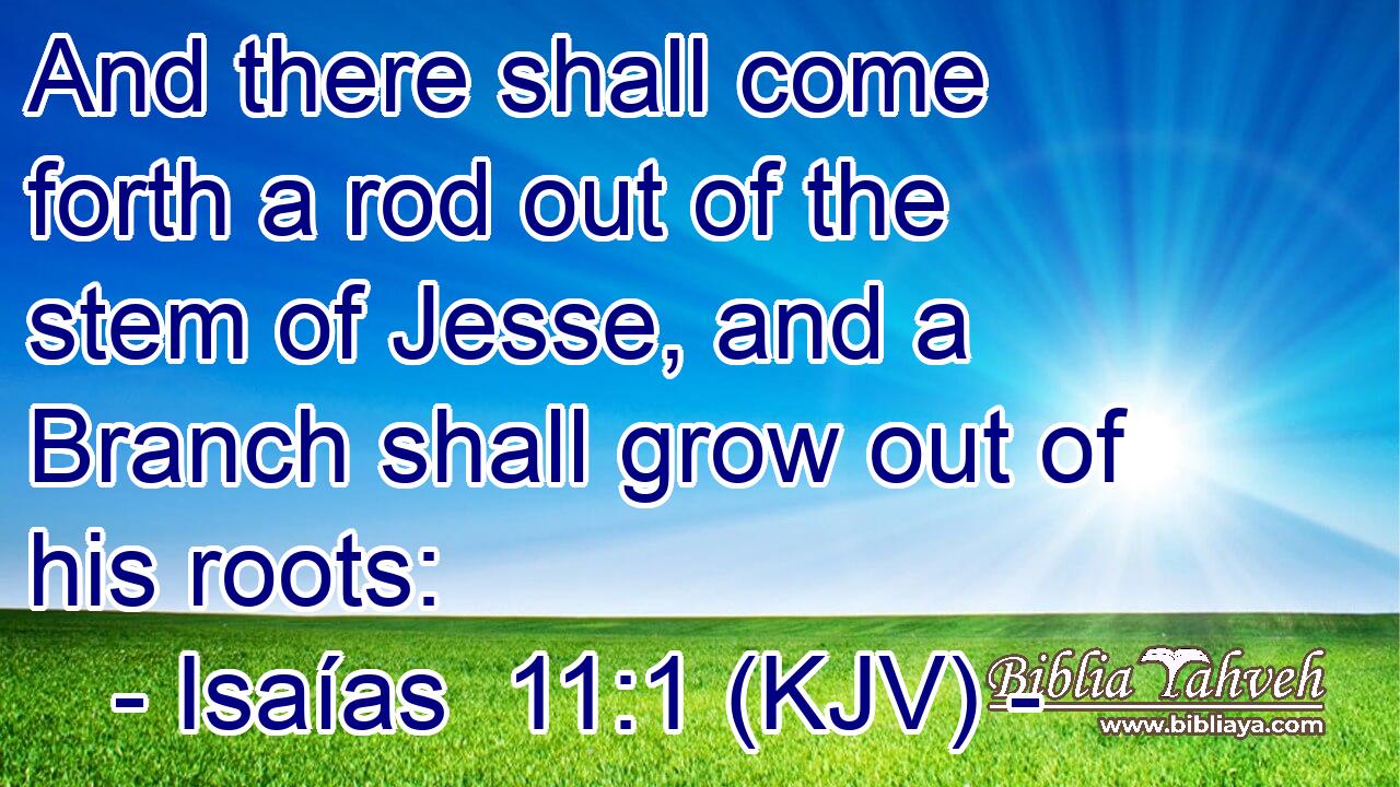 And there shall come forth a rod out of the stem of Jesse, and a Branch shall grow out of his roots: