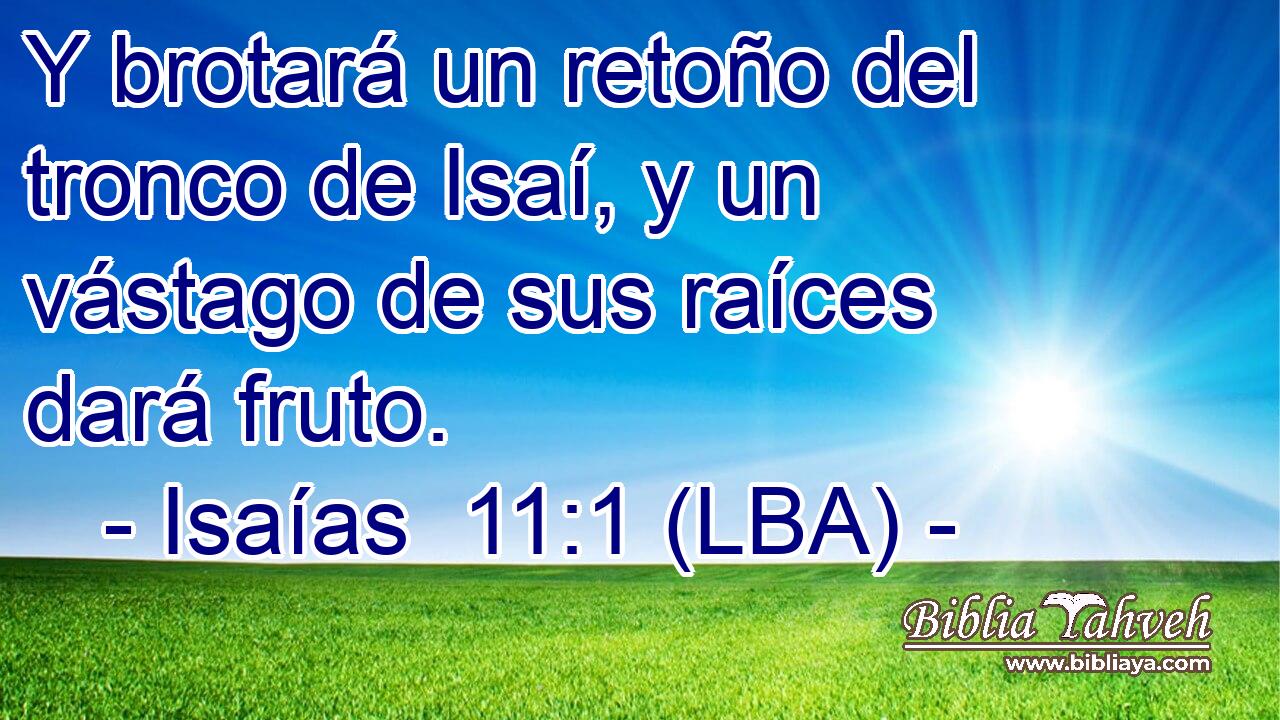 Y brotará un retoño del tronco de Isaí, y un vástago de sus raíces dará fruto.