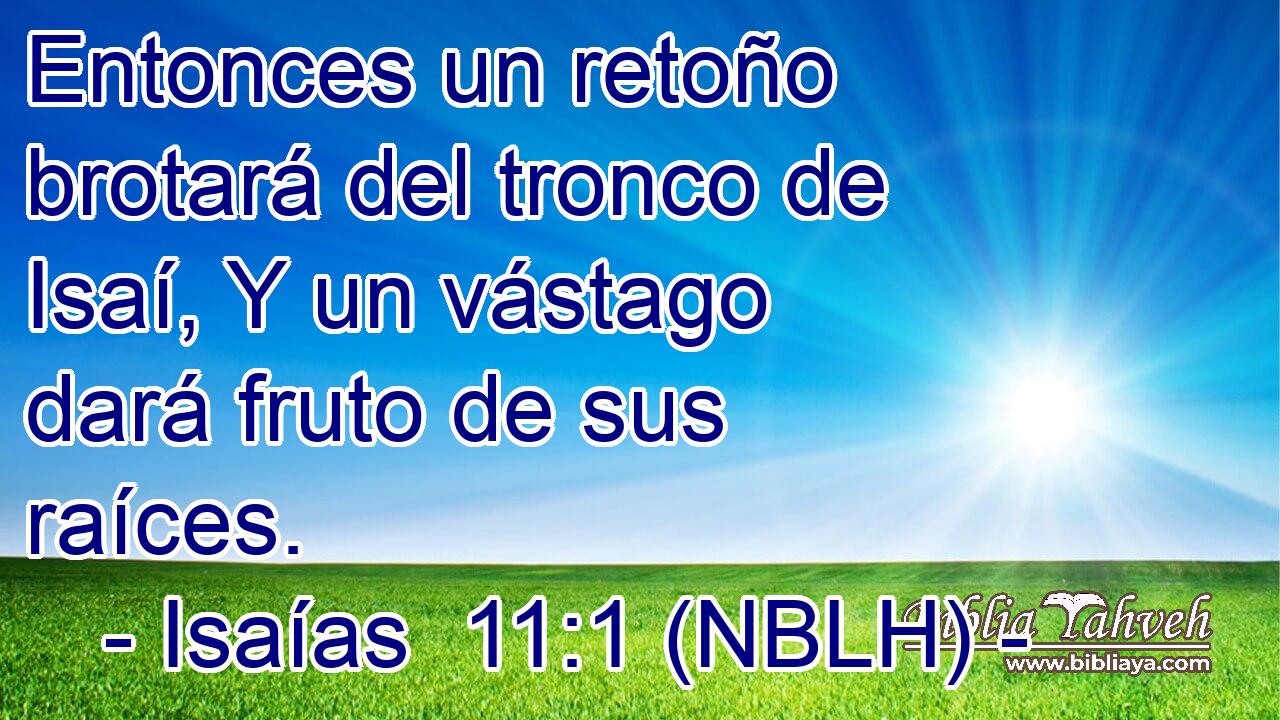  Entonces un retoño brotará del tronco de Isaí, Y un vástago dará fruto de sus raíces. 
