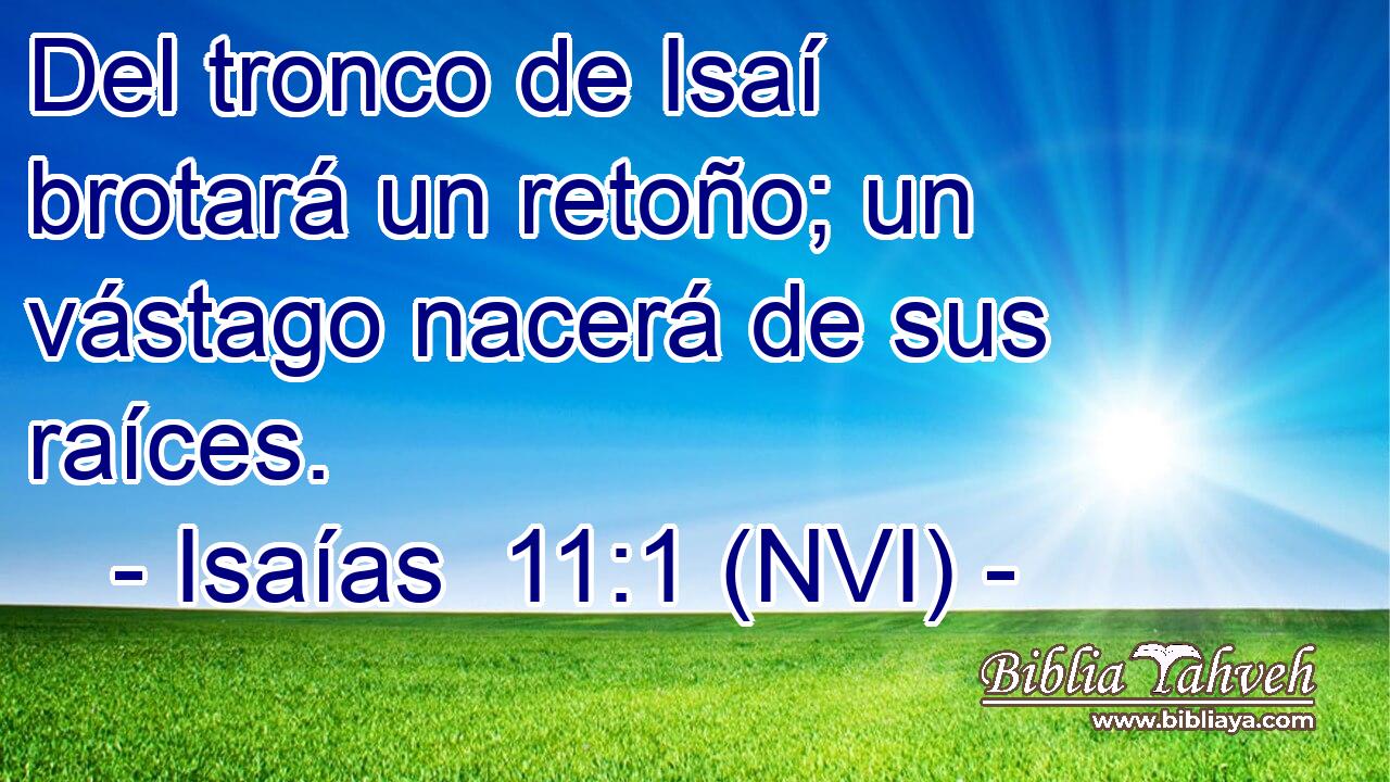  Del tronco de Isaí brotará un retoño; un vástago nacerá de sus raíces. 