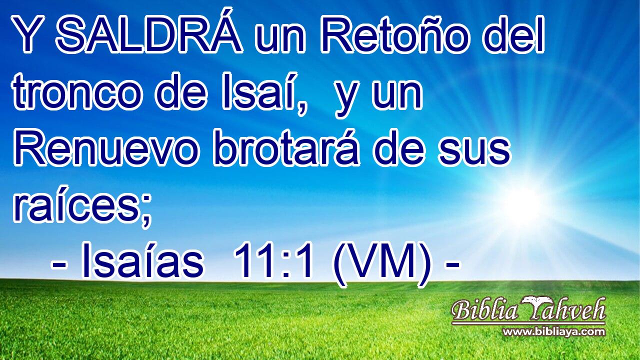  Y SALDRÁ un Retoño del tronco de Isaí,  y un Renuevo brotará de sus raíces; 