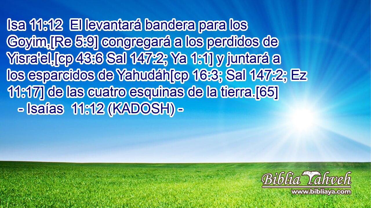  El levantará bandera para los Goyim,[Re 5:9] congregará a los perdidos de Yisra'el,[cp 43:6 Sal 147:2; Ya 1:1] y juntará a los esparcidos de Yahudáh[cp 16:3; Sal 147:2; Ez 11:17] de las cuatro esquinas de la tierra.[65] 