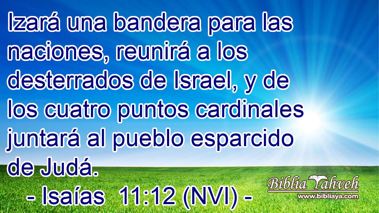  Izará una bandera para las naciones, reunirá a los desterrados de Israel, y de los cuatro puntos cardinales juntará al pueblo esparcido de Judá. 