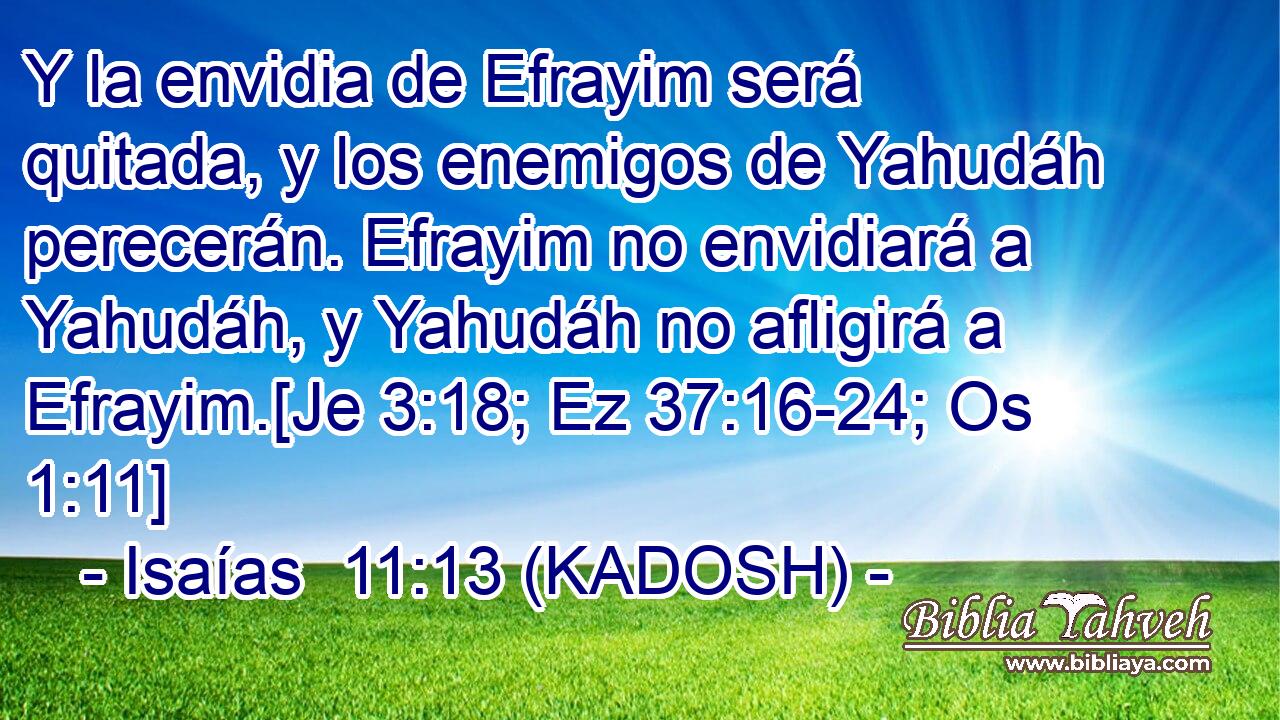  Y la envidia de Efrayim será quitada, y los enemigos de Yahudáh perecerán. Efrayim no envidiará a Yahudáh, y Yahudáh no afligirá a Efrayim.[Je 3:18; Ez 37:16-24; Os 1:11] 