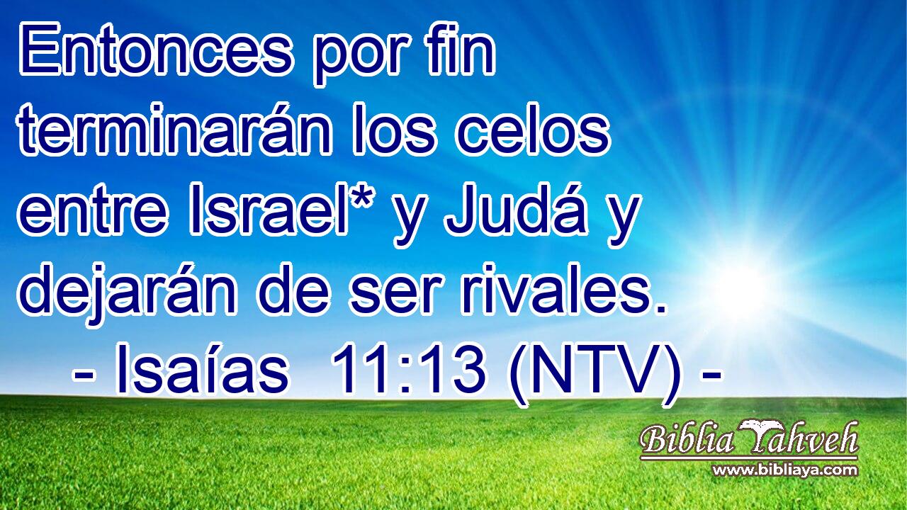 Entonces por fin terminarán los celos entre Israel* y Judá y dejarán de ser rivales.
