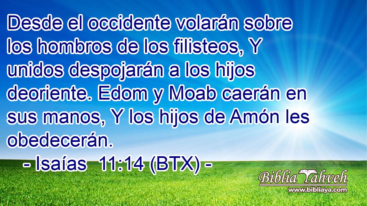 Desde el occidente volarán sobre los hombros de los filisteos, Y unidos despojarán a los hijos deoriente. Edom y Moab caerán en sus manos, Y los hijos de Amón les obedecerán.