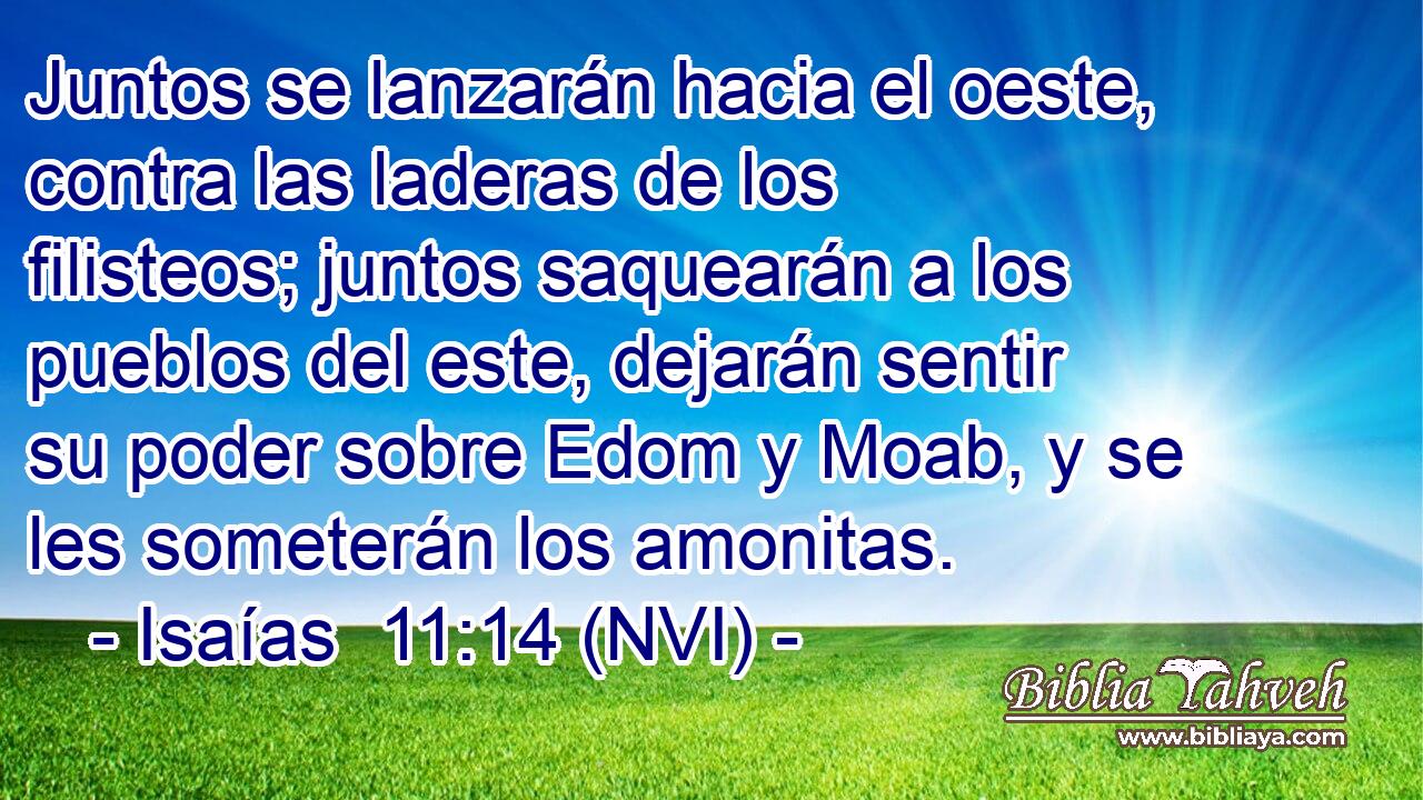  Juntos se lanzarán hacia el oeste, contra las laderas de los filisteos; juntos saquearán a los pueblos del este, dejarán sentir su poder sobre Edom y Moab, y se les someterán los amonitas. 