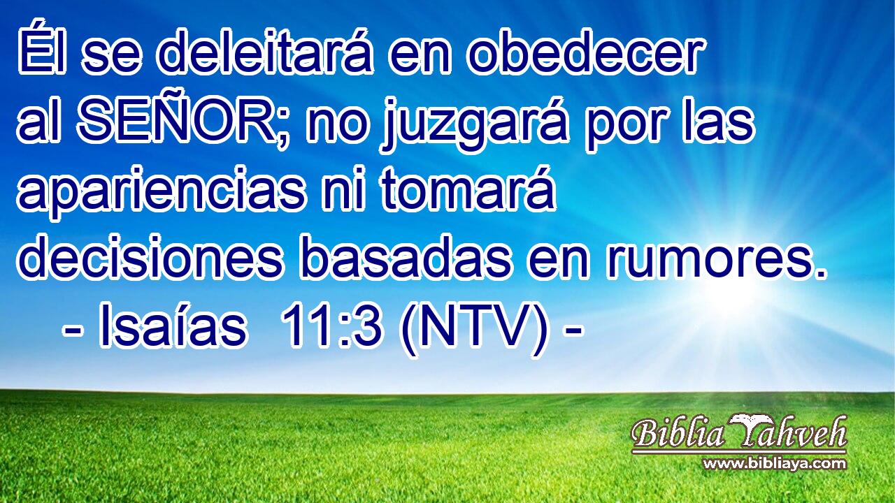 Él se deleitará en obedecer al SEÑOR; no juzgará por las apariencias ni tomará decisiones basadas en rumores.