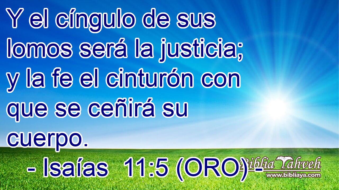  Y el cíngulo de sus lomos será la justicia; y la fe el cinturón con que se ceñirá su cuerpo. 