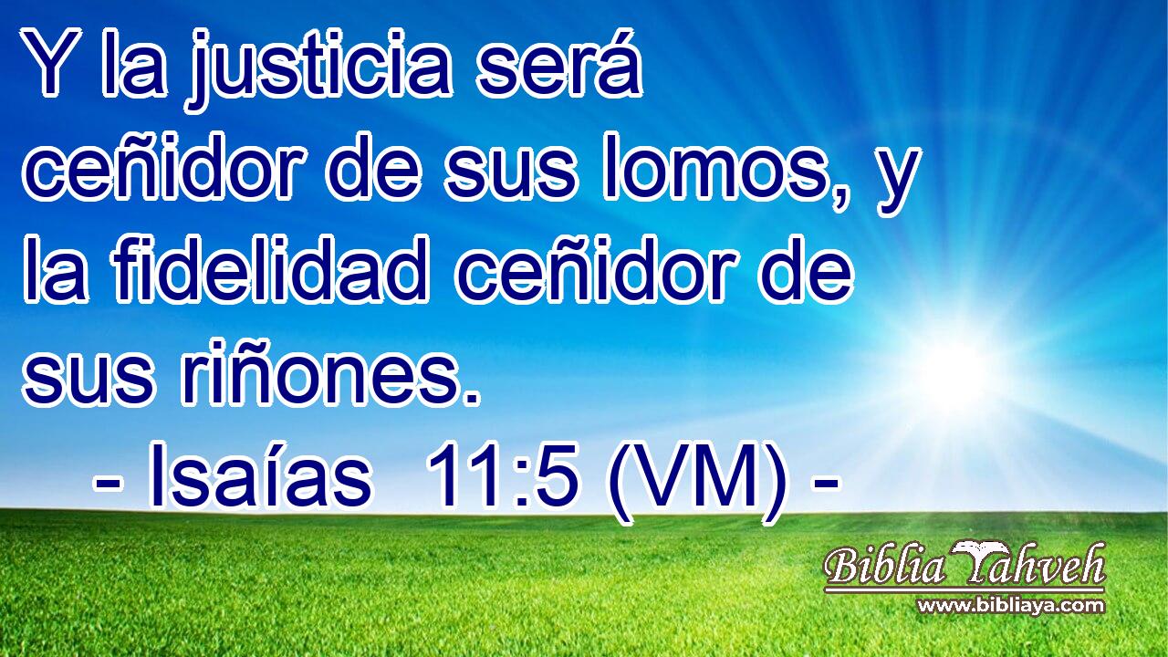  Y la justicia será ceñidor de sus lomos, y la fidelidad ceñidor de sus riñones. 
