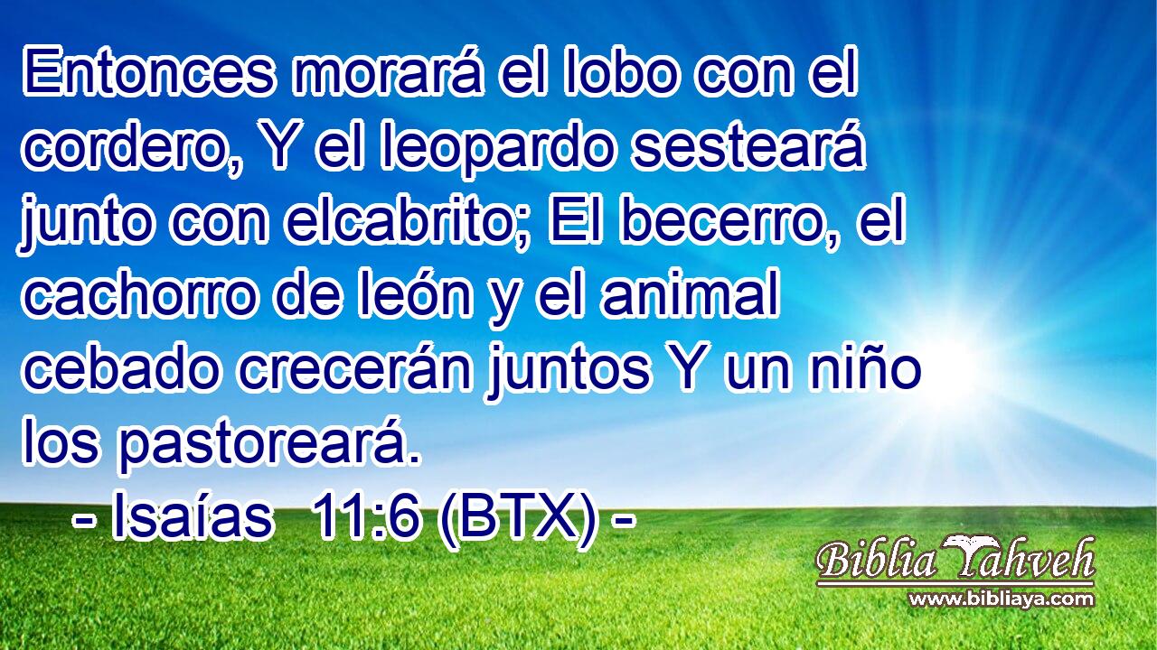 Entonces morará el lobo con el cordero, Y el leopardo sesteará junto con elcabrito; El becerro, el cachorro de león y el animal cebado crecerán juntos Y un niño los pastoreará.