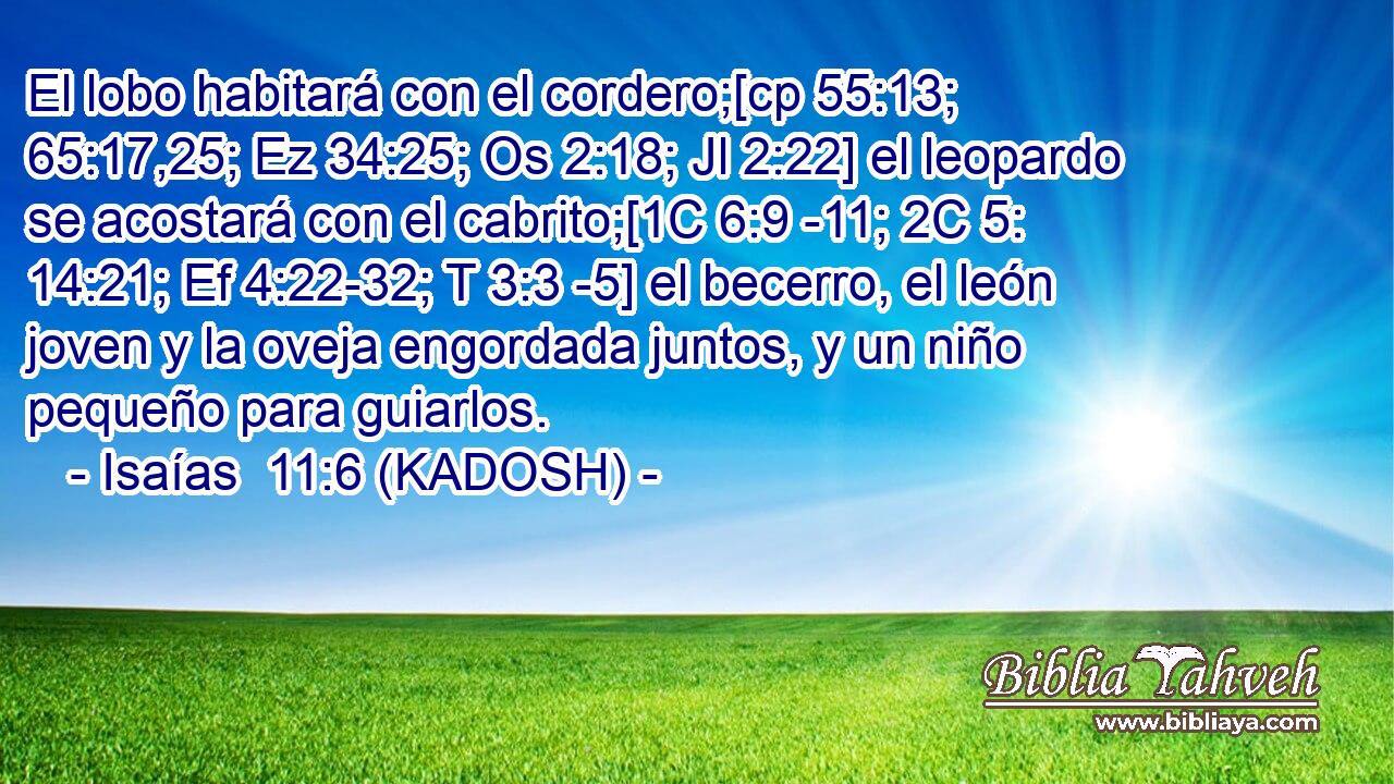  El lobo habitará con el cordero;[cp 55:13; 65:17,25; Ez 34:25; Os 2:18; Jl 2:22] el leopardo se acostará con el cabrito;[1C 6:9 -11; 2C 5: 14:21; Ef 4:22-32; T 3:3 -5] el becerro, el león joven y la oveja engordada juntos, y un niño pequeño para guiarlos. 