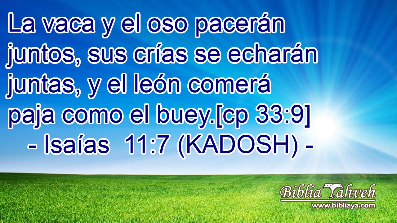  La vaca y el oso pacerán juntos, sus crías se echarán juntas, y el león comerá paja como el buey.[cp 33:9] 