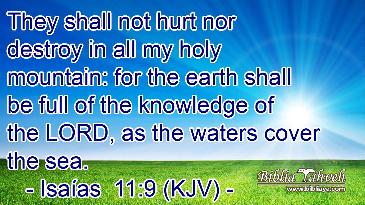 They shall not hurt nor destroy in all my holy mountain: for the earth shall be full of the knowledge of the LORD, as the waters cover the sea.