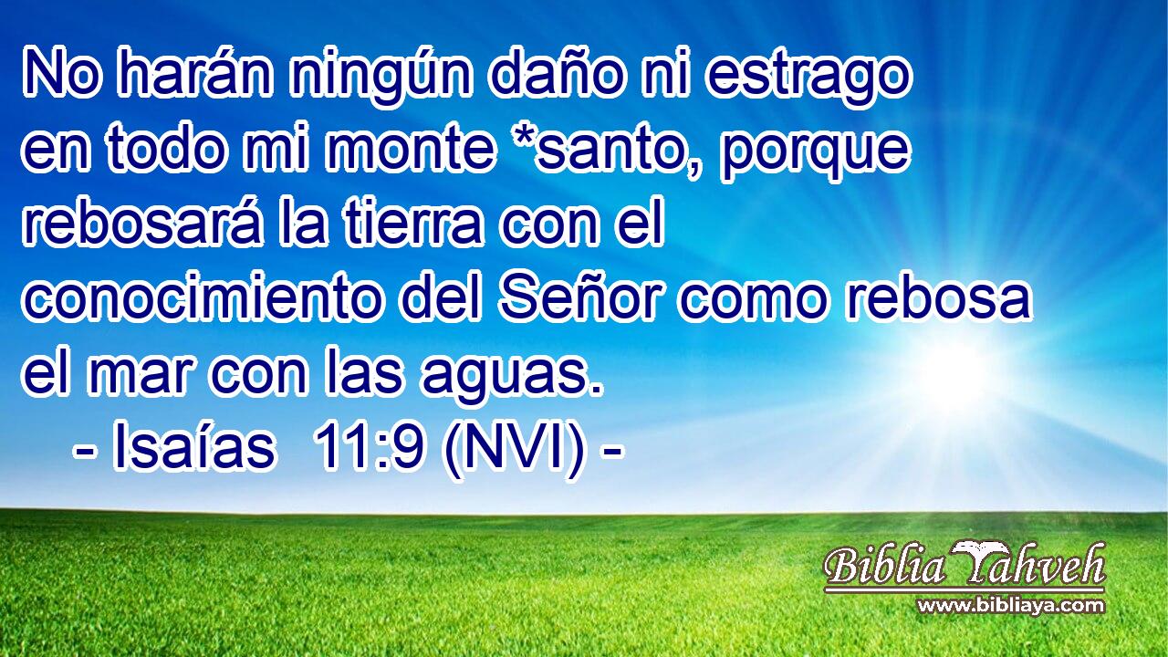  No harán ningún daño ni estrago en todo mi monte *santo, porque rebosará la tierra con el conocimiento del Señor como rebosa el mar con las aguas. 