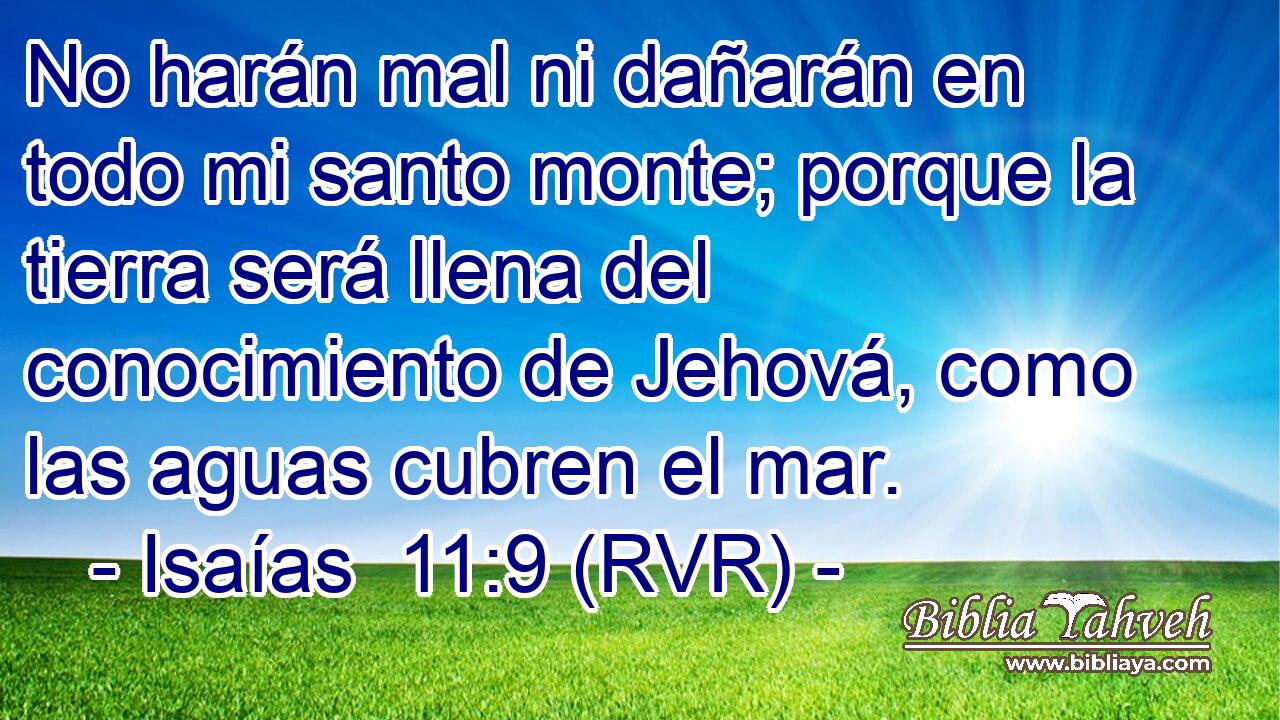 No harán mal ni dañarán en todo mi santo monte; porque la tierra será llena del conocimiento de Jehová, como las aguas cubren el mar.
