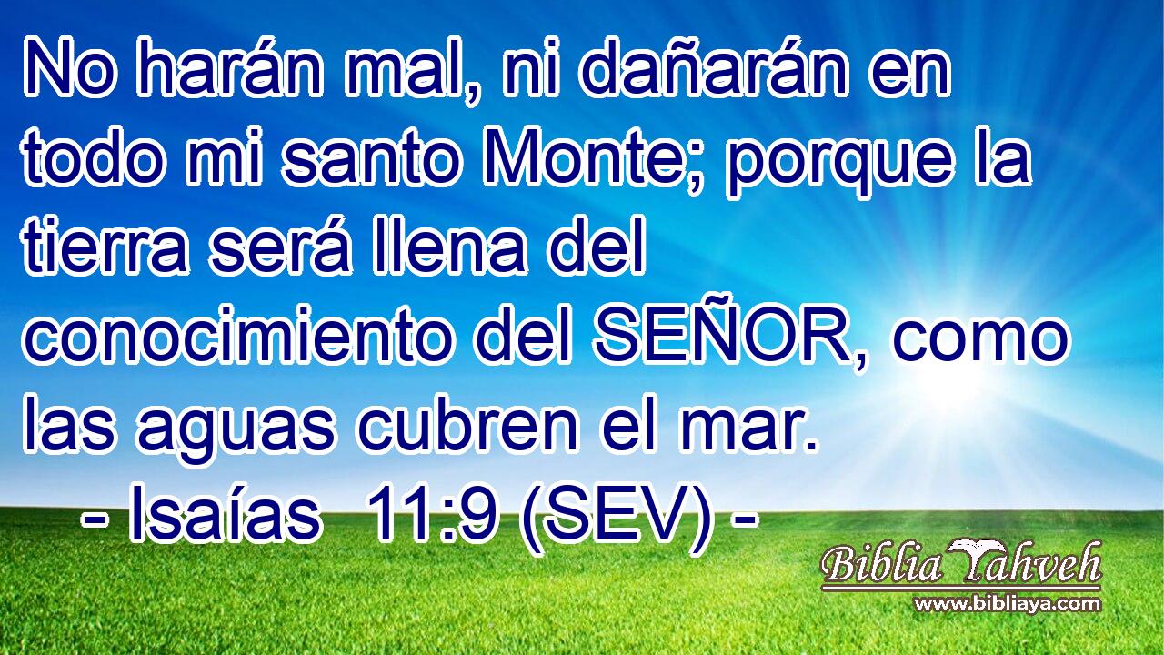 No harán mal, ni dañarán en todo mi santo Monte; porque la tierra será llena del conocimiento del SEÑOR, como las aguas cubren el mar.