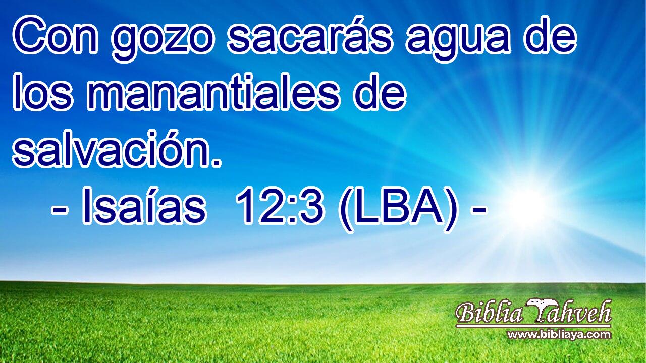 Con gozo sacarás agua de los manantiales de salvación.