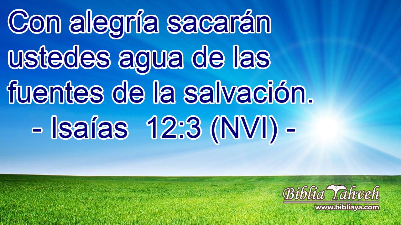  Con alegría sacarán ustedes agua de las fuentes de la salvación. 