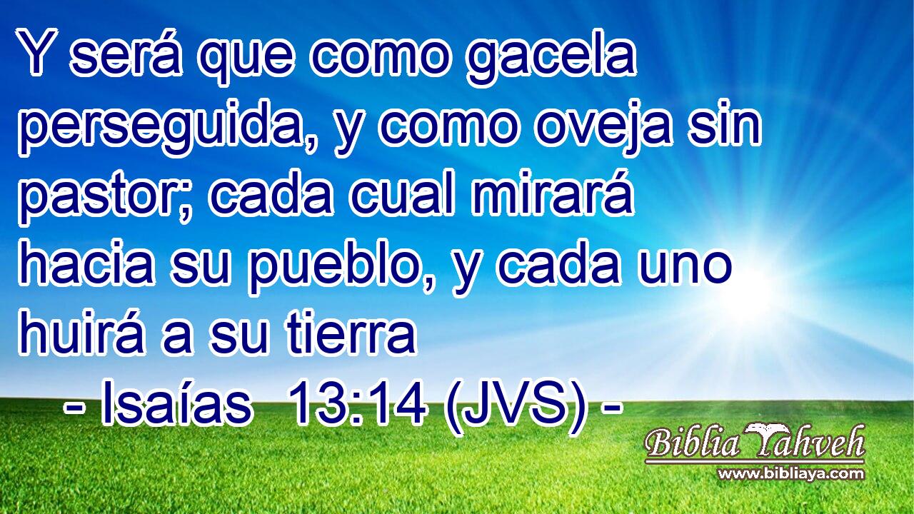 Y será que como gacela perseguida, y como oveja sin pastor; cada cual mirará hacia su pueblo, y cada uno huirá a su tierra