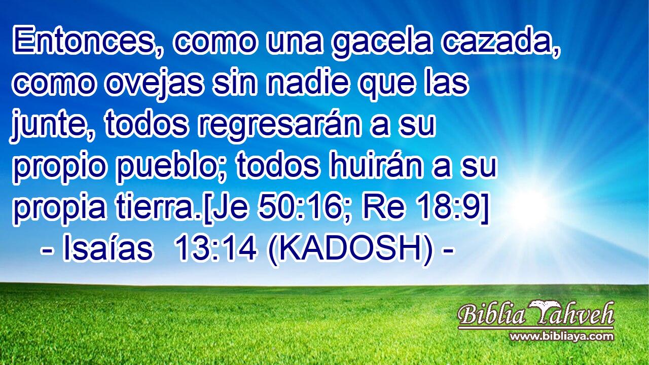  Entonces, como una gacela cazada, como ovejas sin nadie que las junte, todos regresarán a su propio pueblo; todos huirán a su propia tierra.[Je 50:16; Re 18:9] 