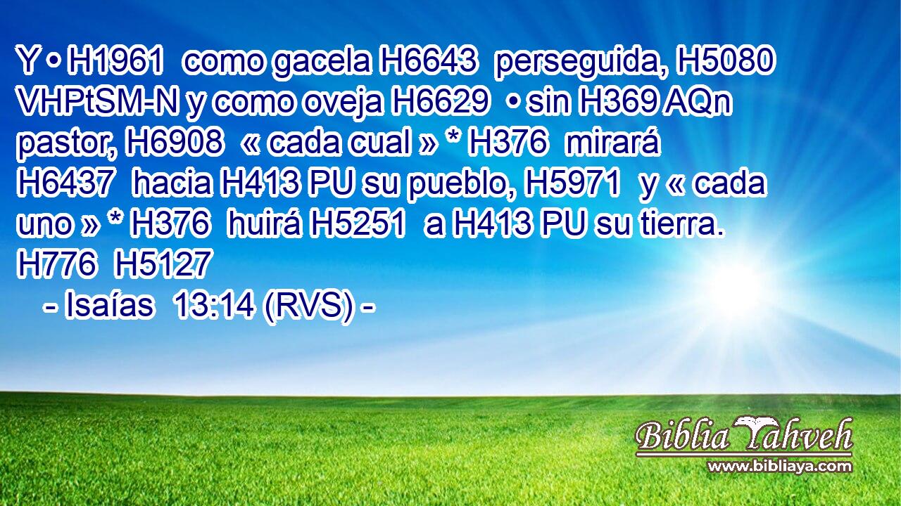 Y • H1961  como gacela H6643  perseguida, H5080 VHPtSM-N y como oveja H6629  • sin H369 AQn pastor, H6908  « cada cual » * H376  mirará H6437  hacia H413 PU su pueblo, H5971  y « cada uno » * H376  huirá H5251  a H413 PU su tierra. H776  H5127 