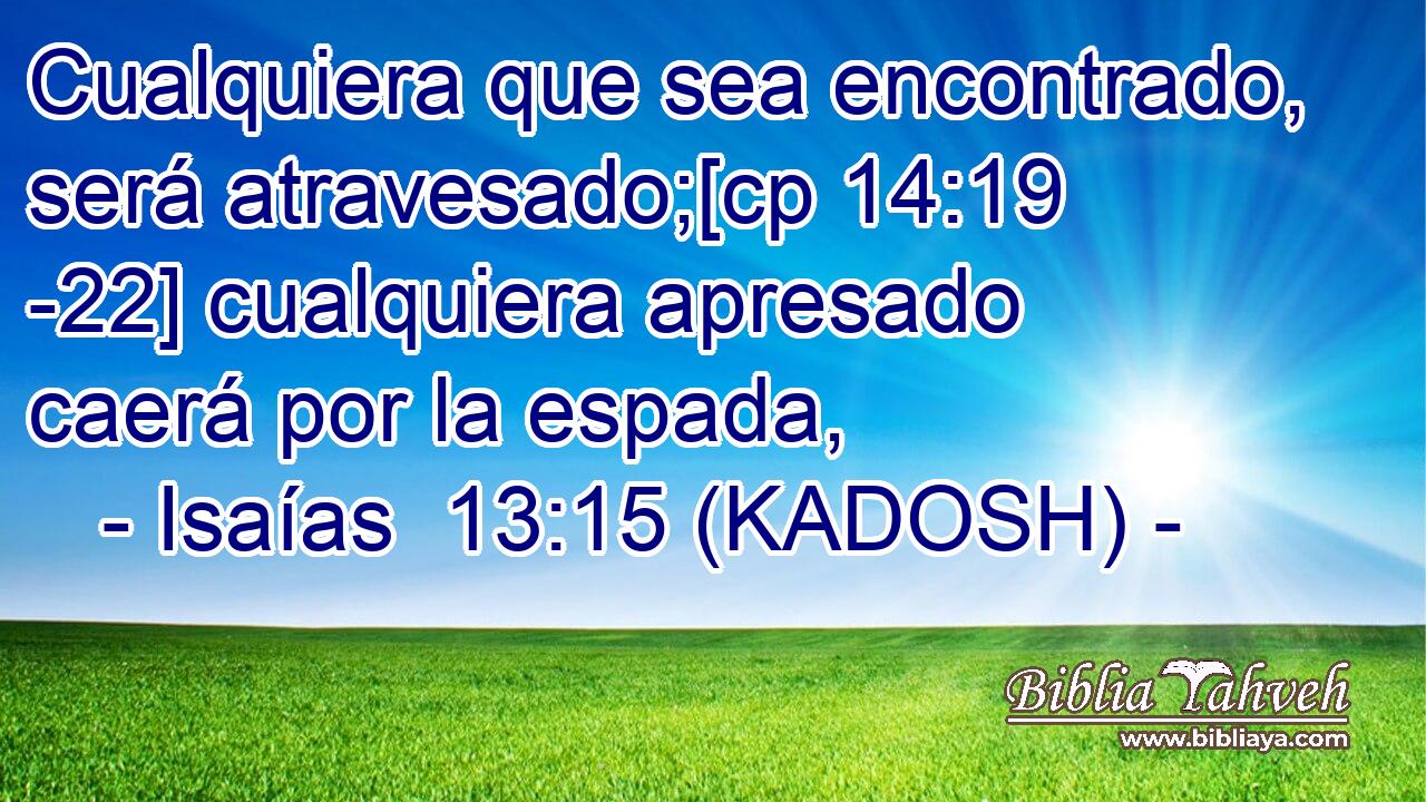  Cualquiera que sea encontrado, será atravesado;[cp 14:19 -22] cualquiera apresado caerá por la espada, 