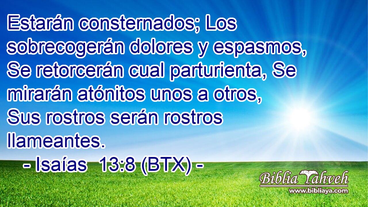Estarán consternados; Los sobrecogerán dolores y espasmos, Se retorcerán cual parturienta, Se mirarán atónitos unos a otros, Sus rostros serán rostros llameantes.
