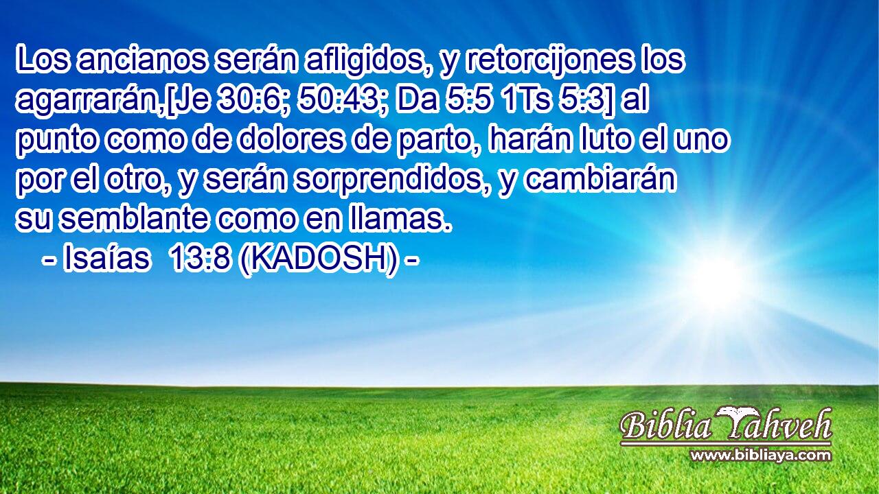  Los ancianos serán afligidos, y retorcijones los agarrarán,[Je 30:6; 50:43; Da 5:5 1Ts 5:3] al punto como de dolores de parto, harán luto el uno por el otro, y serán sorprendidos, y cambiarán su semblante como en llamas. 