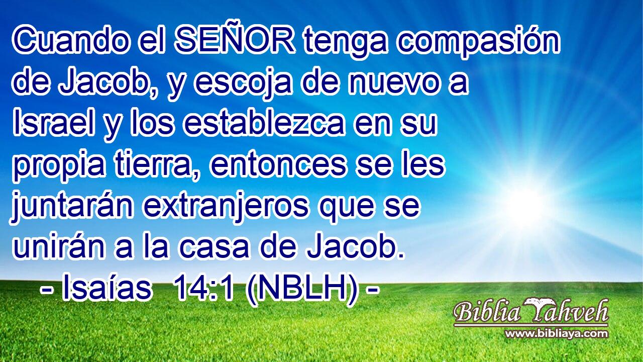  Cuando el SEÑOR tenga compasión de Jacob, y escoja de nuevo a Israel y los establezca en su propia tierra, entonces se les juntarán extranjeros que se unirán a la casa de Jacob. 