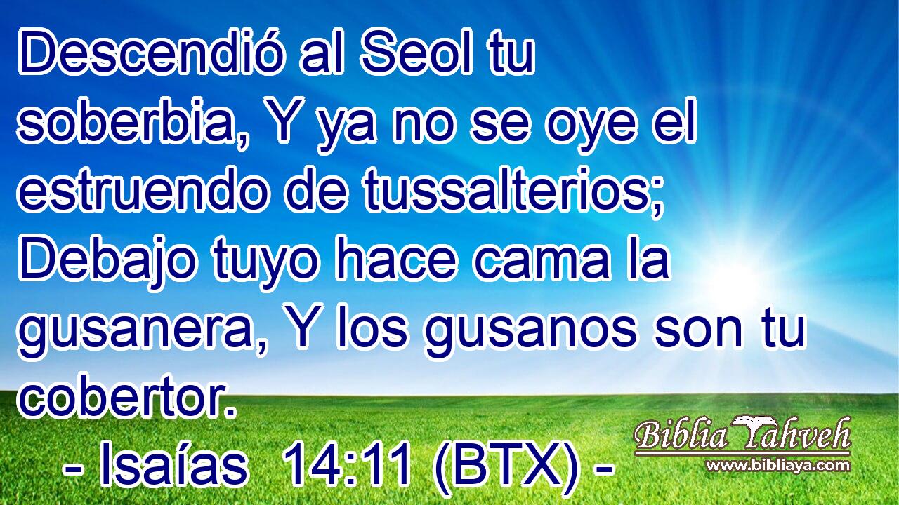 Descendió al Seol tu soberbia, Y ya no se oye el estruendo de tussalterios; Debajo tuyo hace cama la gusanera, Y los gusanos son tu cobertor.