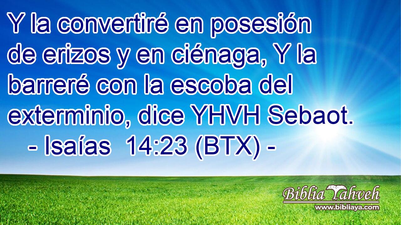 Y la convertiré en posesión de erizos y en ciénaga, Y la barreré con la escoba del exterminio, dice YHVH Sebaot.