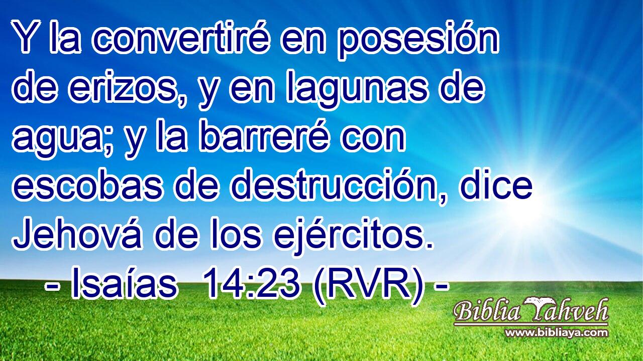 Y la convertiré en posesión de erizos, y en lagunas de agua; y la barreré con escobas de destrucción, dice Jehová de los ejércitos.