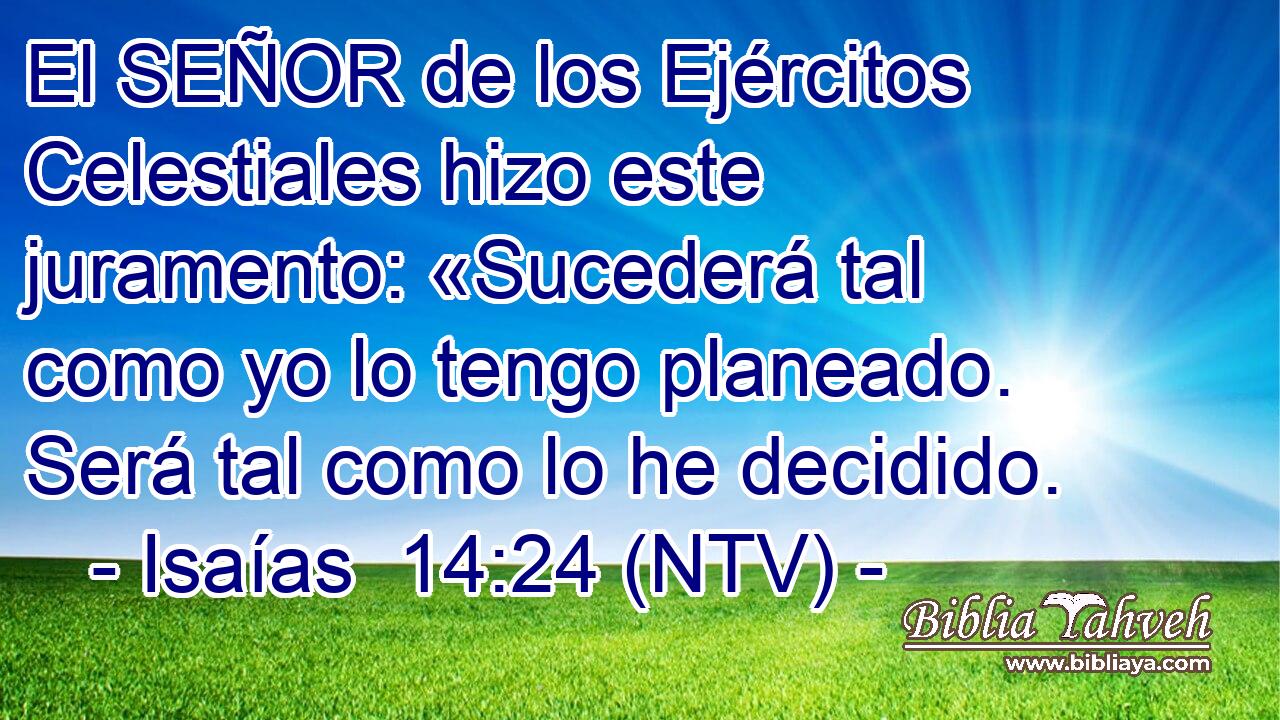 El SEÑOR de los Ejércitos Celestiales hizo este juramento: «Sucederá tal como yo lo tengo planeado. Será tal como lo he decidido.
