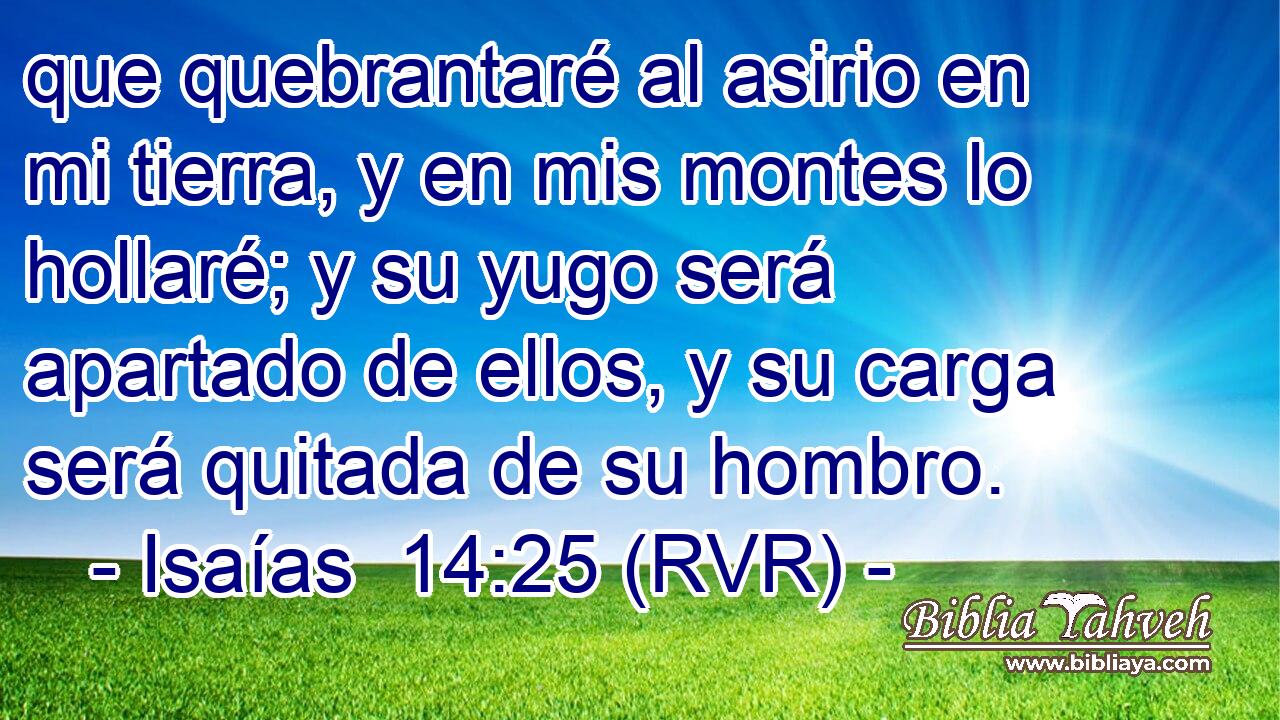 que quebrantaré al asirio en mi tierra, y en mis montes lo hollaré; y su yugo será apartado de ellos, y su carga será quitada de su hombro.