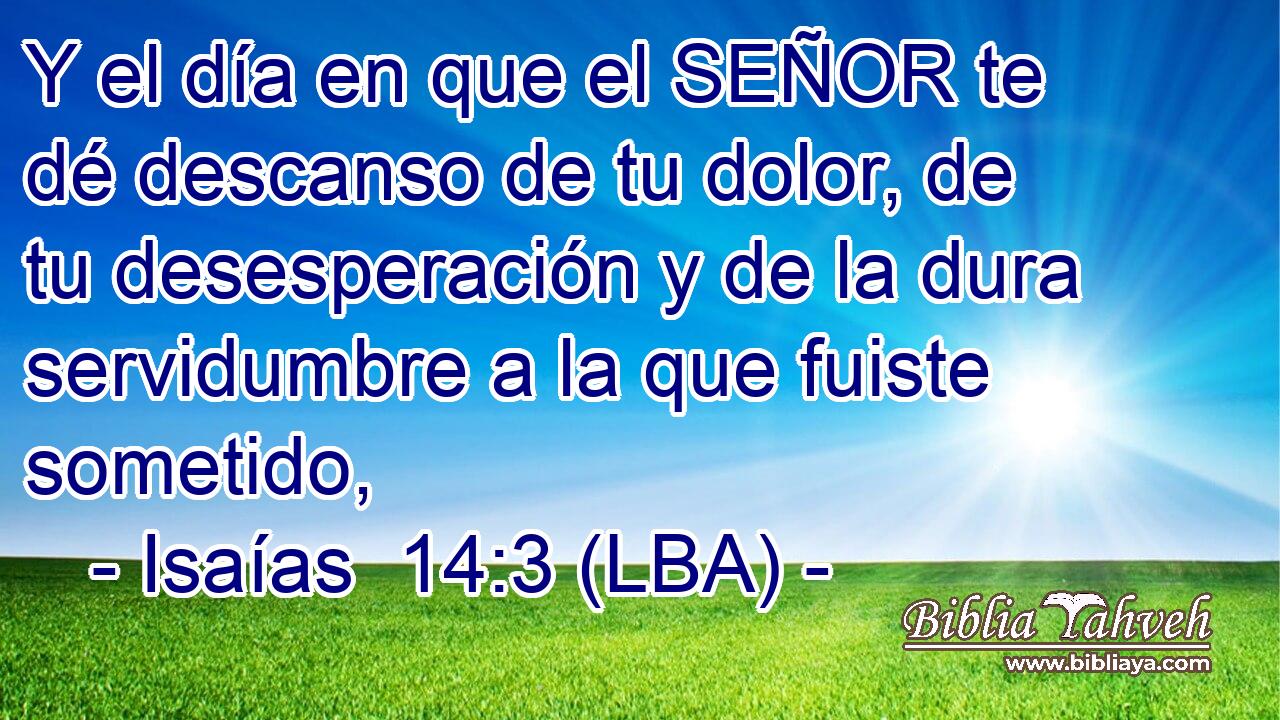 Y el día en que el SEÑOR te dé descanso de tu dolor, de tu desesperación y de la dura servidumbre a la que fuiste sometido,