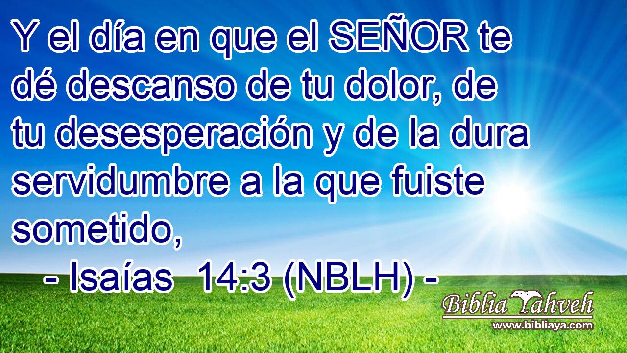  Y el día en que el SEÑOR te dé descanso de tu dolor, de tu desesperación y de la dura servidumbre a la que fuiste sometido, 