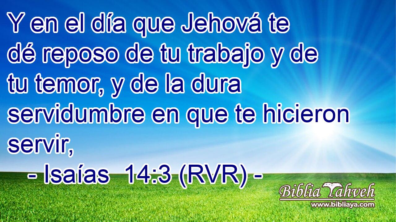 Y en el día que Jehová te dé reposo de tu trabajo y de tu temor, y de la dura servidumbre en que te hicieron servir,