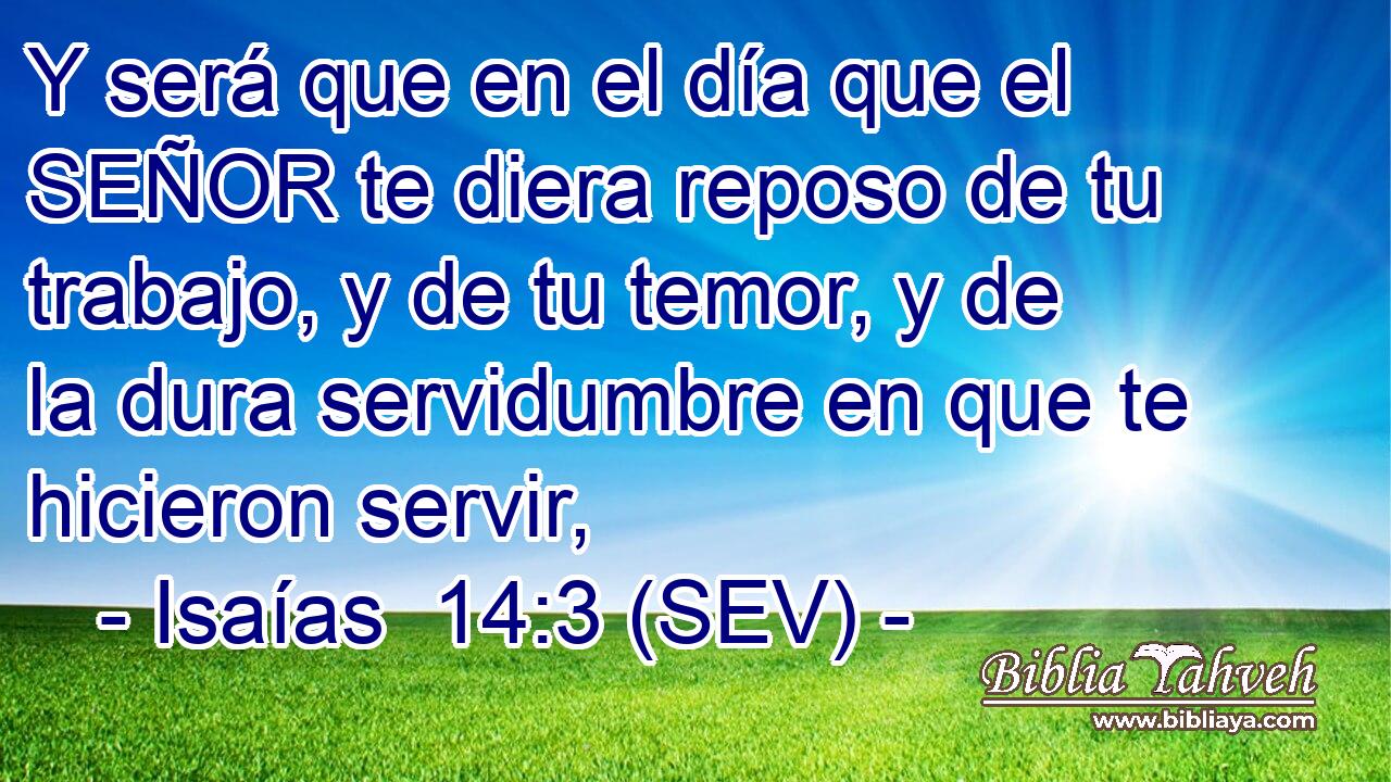Y será que en el día que el SEÑOR te diera reposo de tu trabajo, y de tu temor, y de la dura servidumbre en que te hicieron servir,