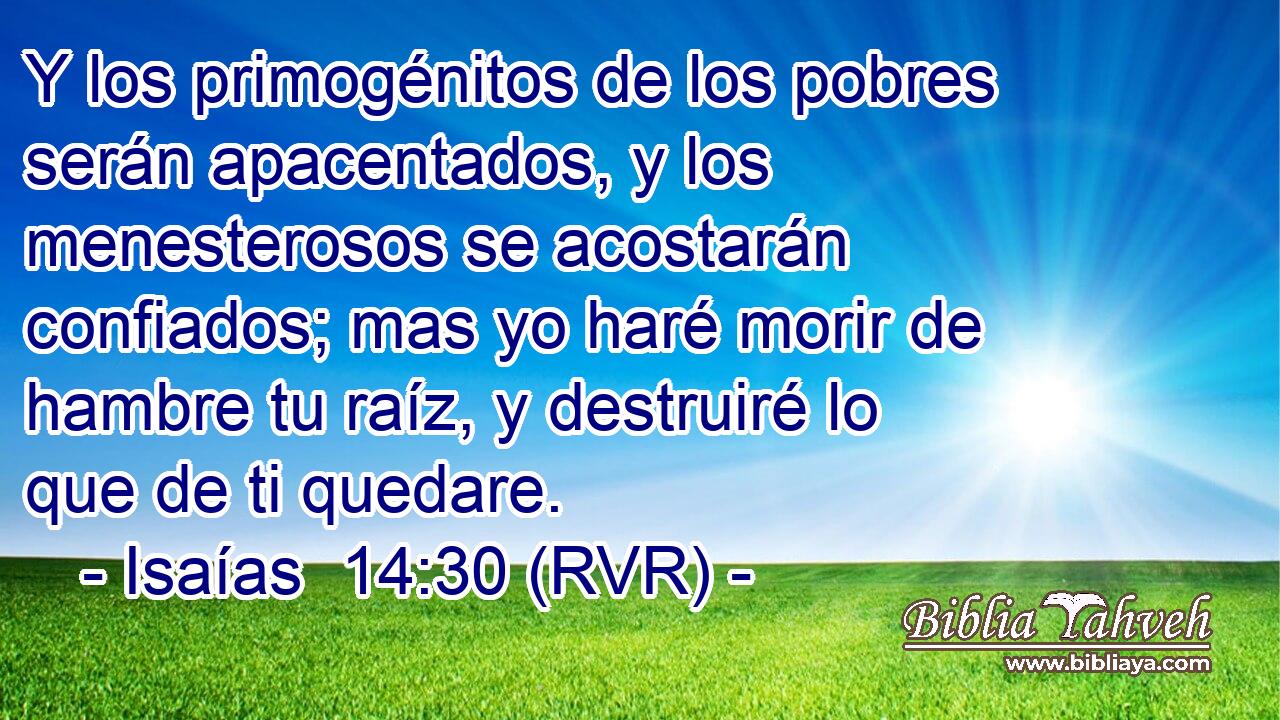 Y los primogénitos de los pobres serán apacentados, y los menesterosos se acostarán confiados; mas yo haré morir de hambre tu raíz, y destruiré lo que de ti quedare.
