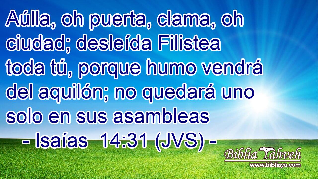 Aúlla, oh puerta, clama, oh ciudad; desleída Filistea toda tú, porque humo vendrá del aquilón; no quedará uno solo en sus asambleas